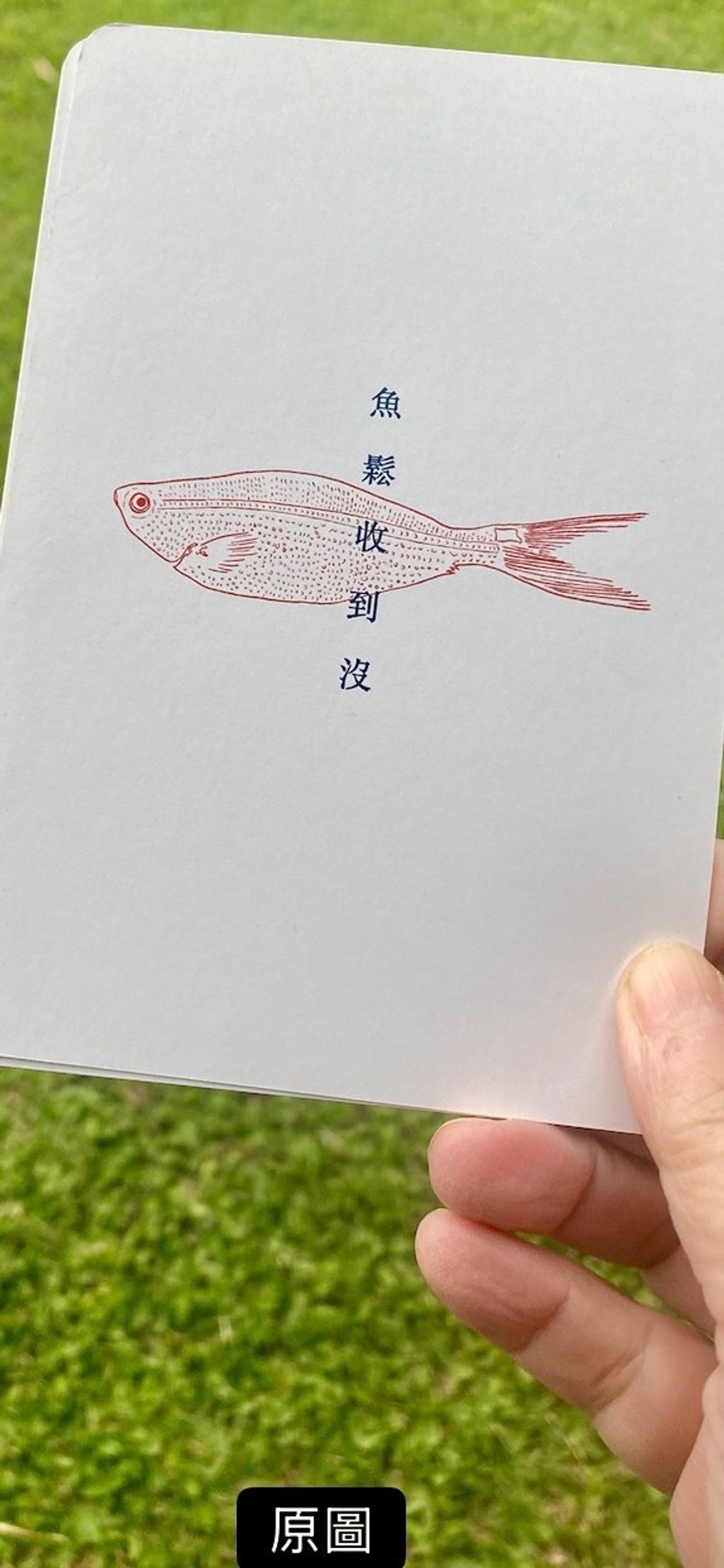 image_4FD0748C-2345-4D40-8329-48E886D3B5E4_1766210138