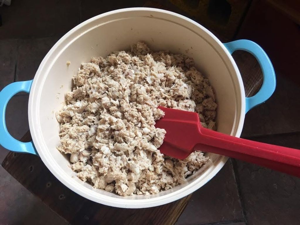 image_B1326CD5-5213-43FB-8F60-2C120CCC2B37_1766210138