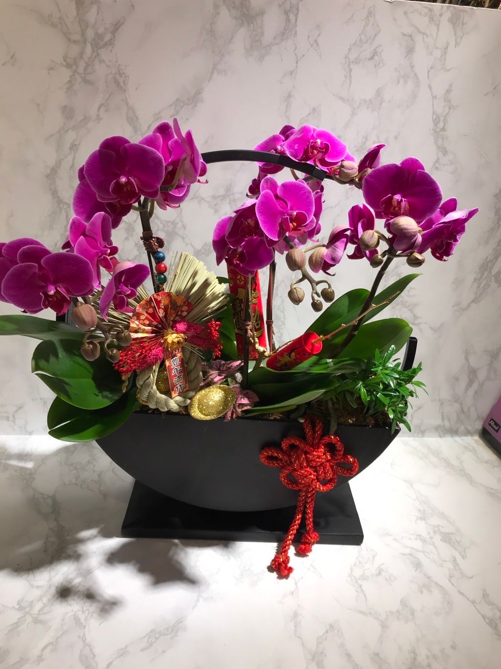 蘭花 13.jpg 紫.jpg