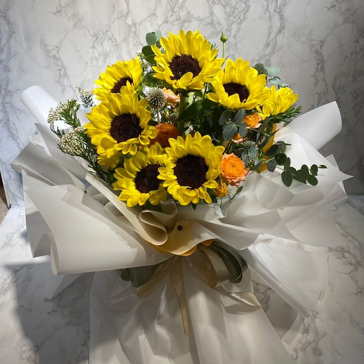 S__95952916