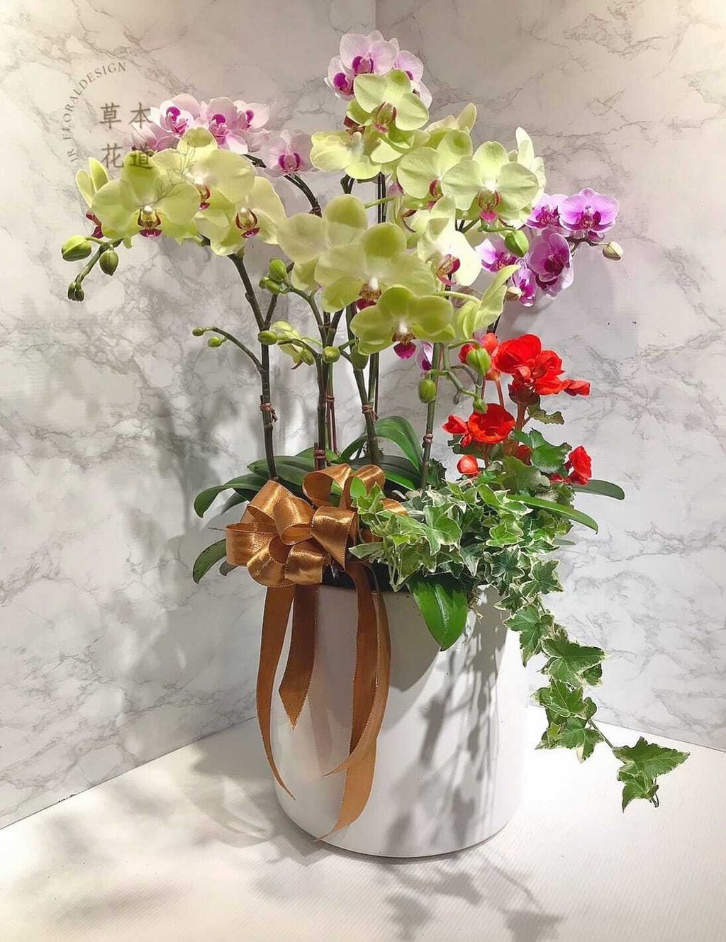 342974226_5904294586365186_6112990180239516493_n