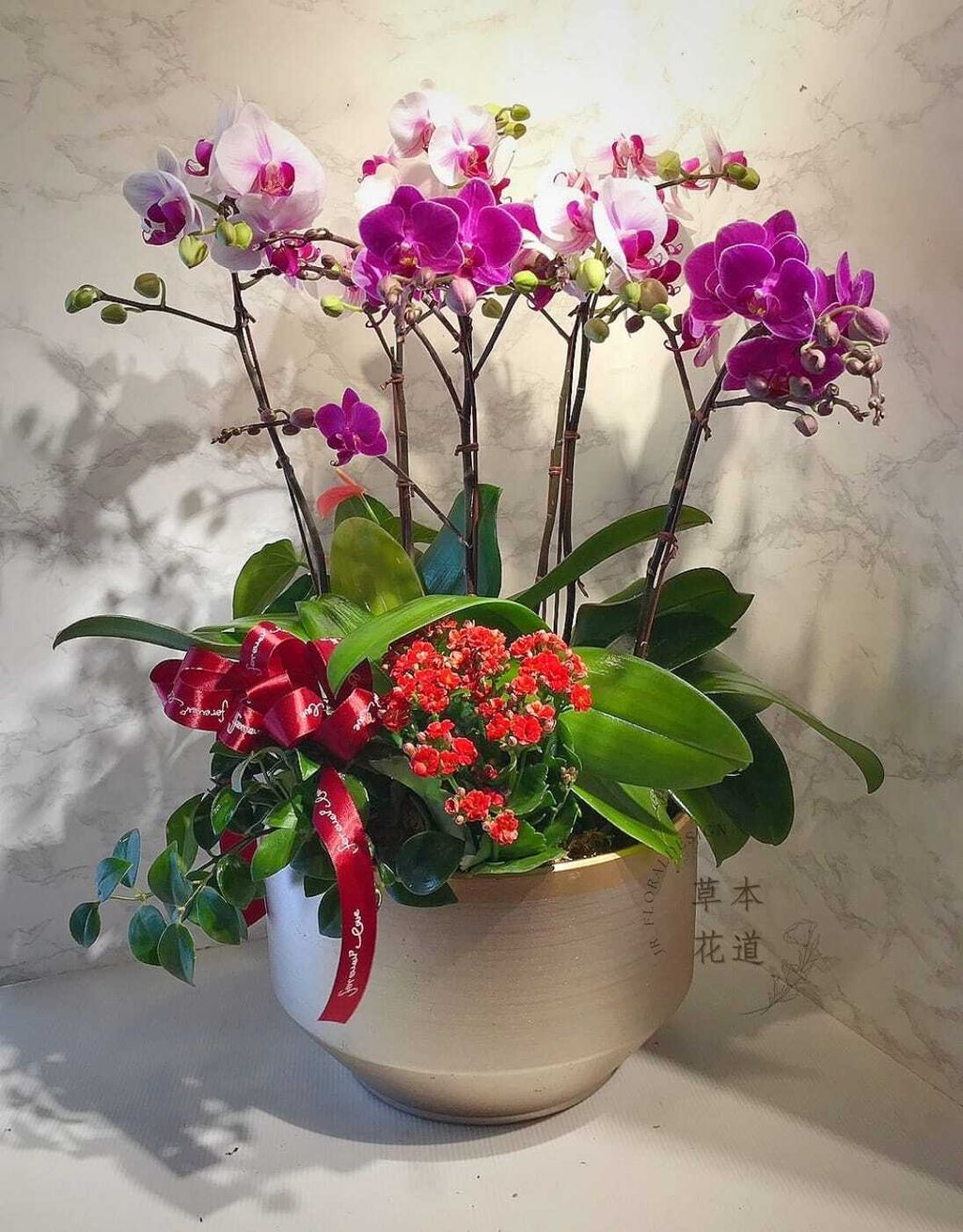 342986692_228702703171978_8624956375635012305_n