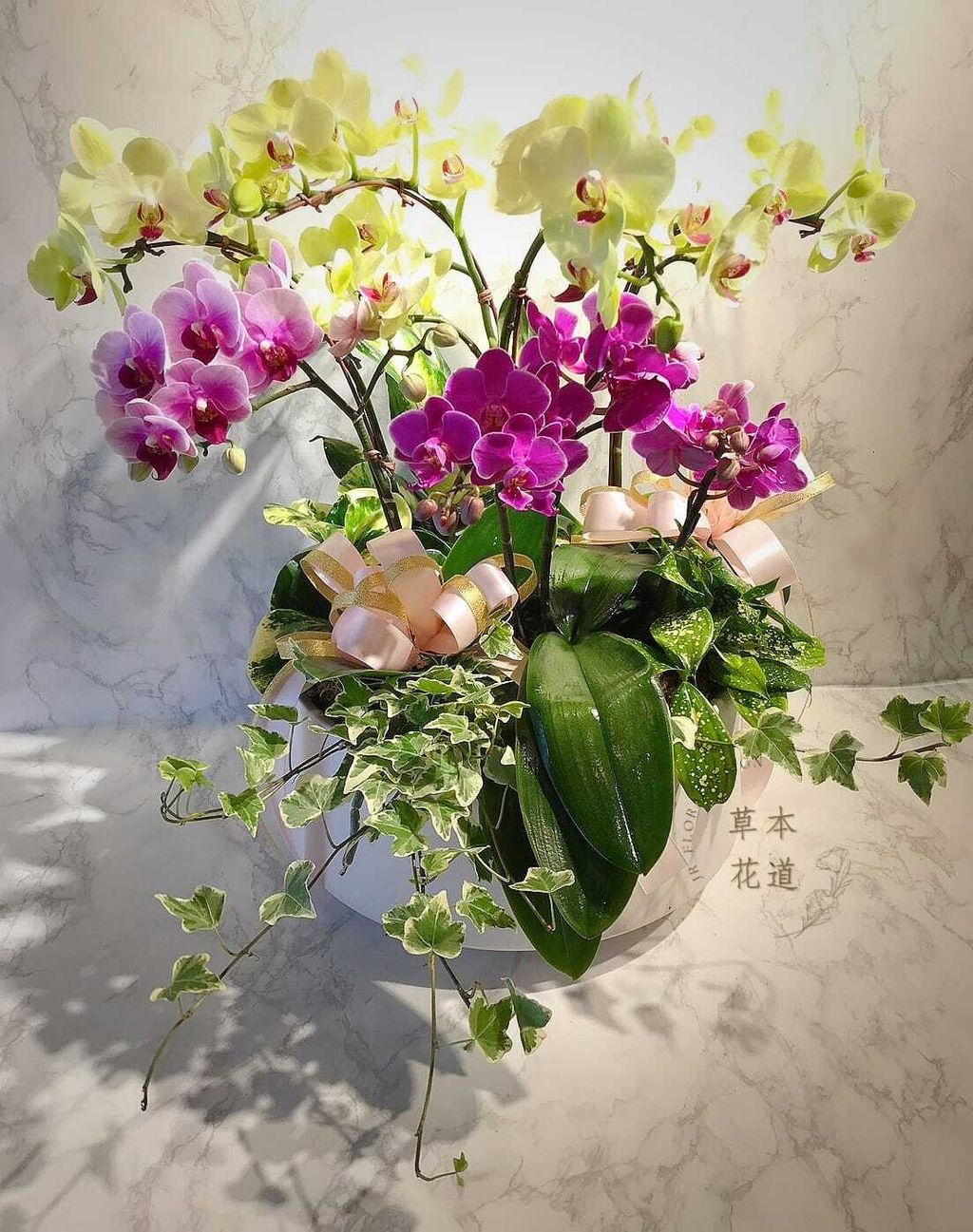 342980720_896389021429532_2498286919245120093_n