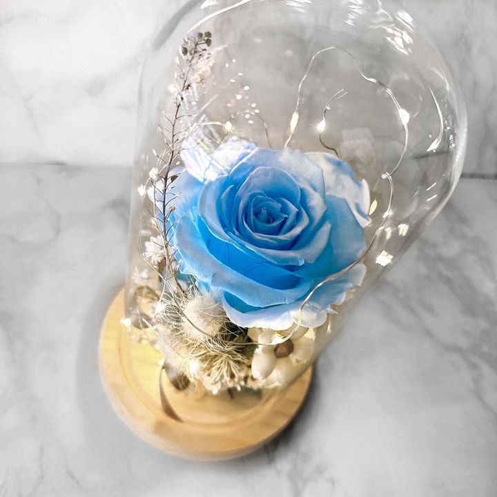 S__33013772_0