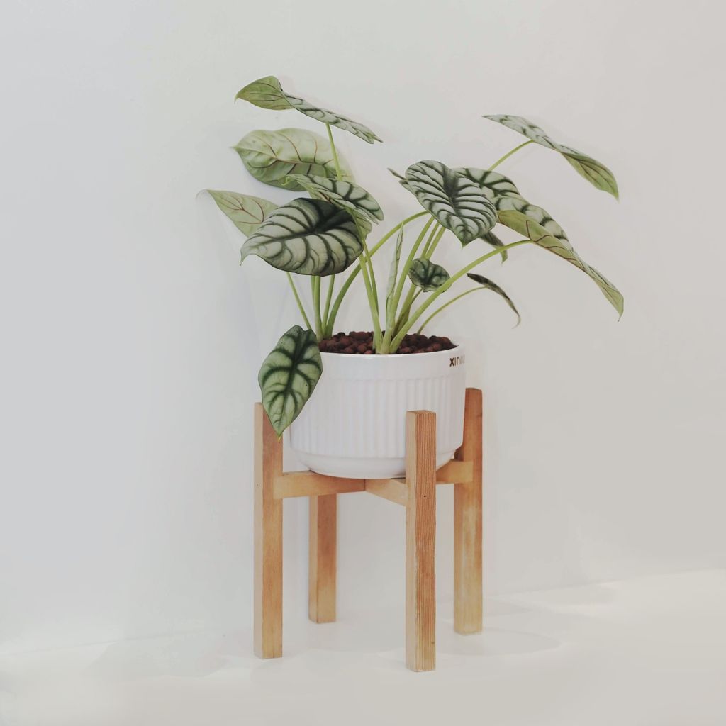 LINE_ALBUM_20231129_產品_231206_49