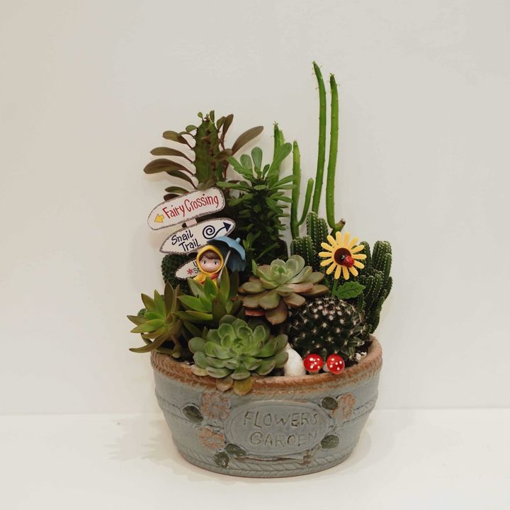 LINE_ALBUM_20231129_產品_231206_42