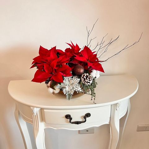 LINE_ALBUM_20231212_231221_13