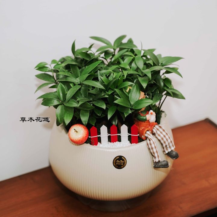 LINE_ALBUM_2024.1.15_240125_70