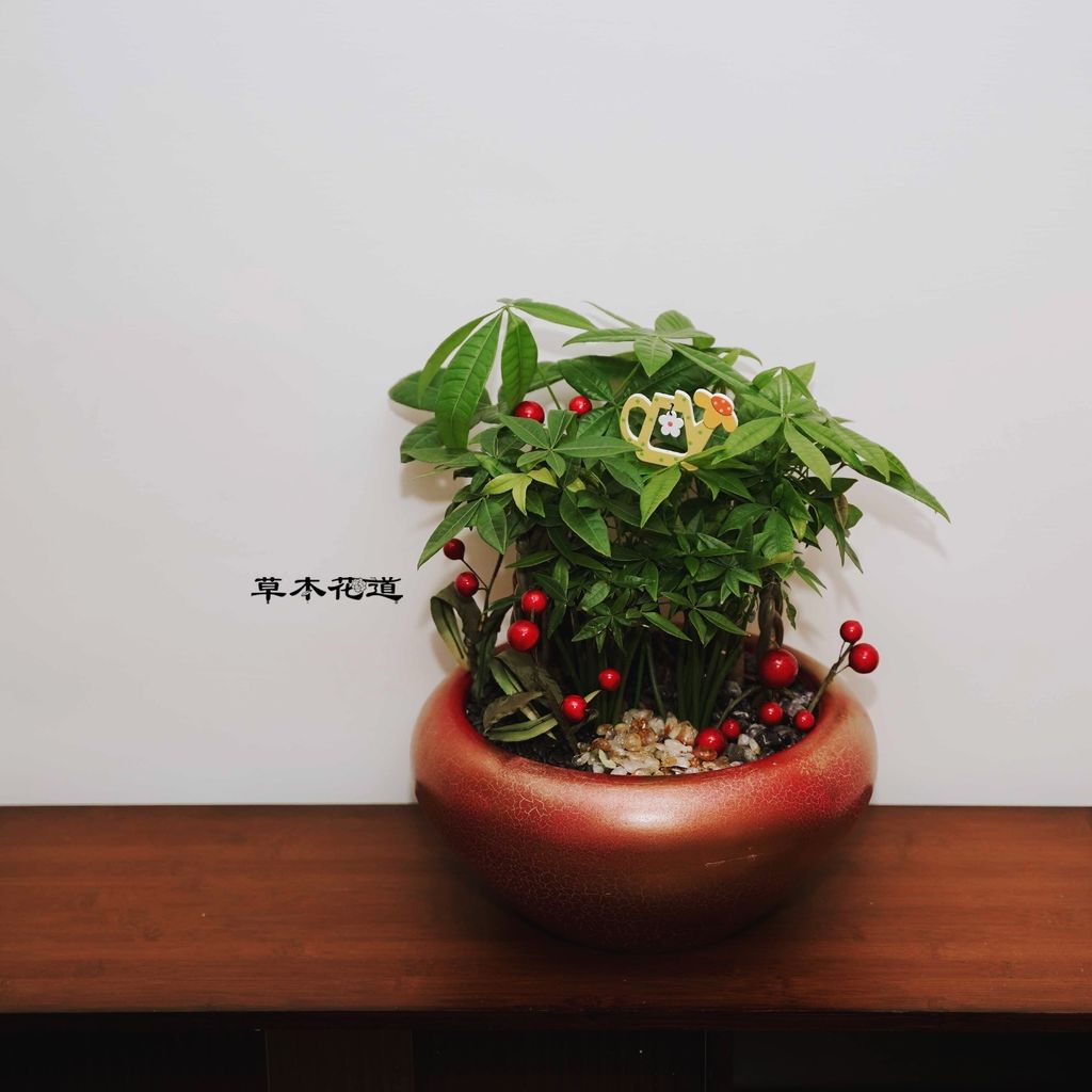 LINE_ALBUM_2024.1.15_240125_76