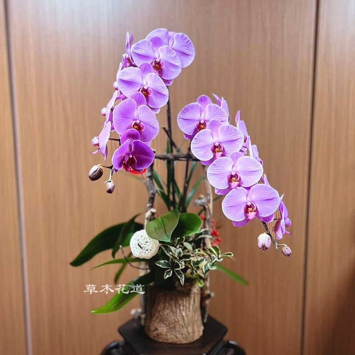 LINE_ALBUM_已裁已修_240205_1