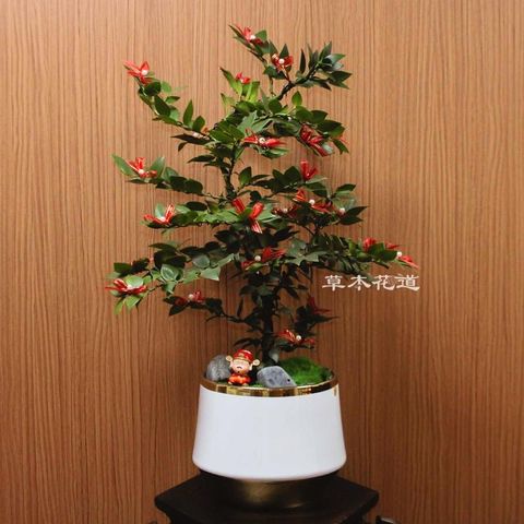 LINE_ALBUM_已裁已修_240205_5