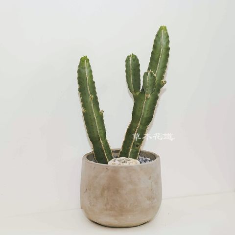 LINE_ALBUM_2024.6.27_240706_19
