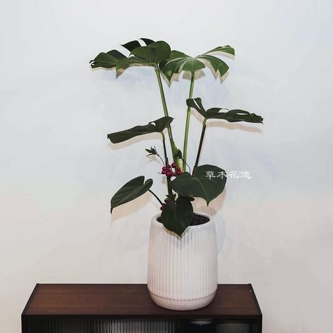 LINE_ALBUM_2024.6.27_240706_4