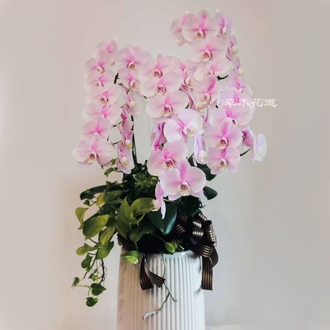LINE_ALBUM_2024.8.2_241110_8