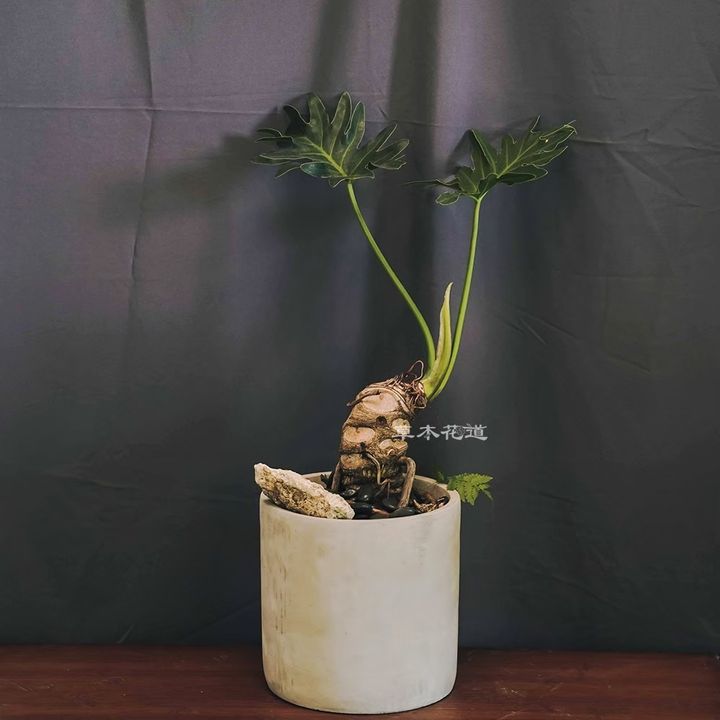 LINE_ALBUM_2024.9.20_241110_14