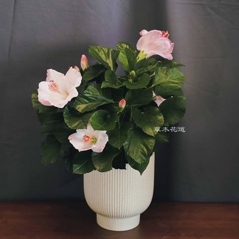 LINE_ALBUM_2024.9.20_241110_19