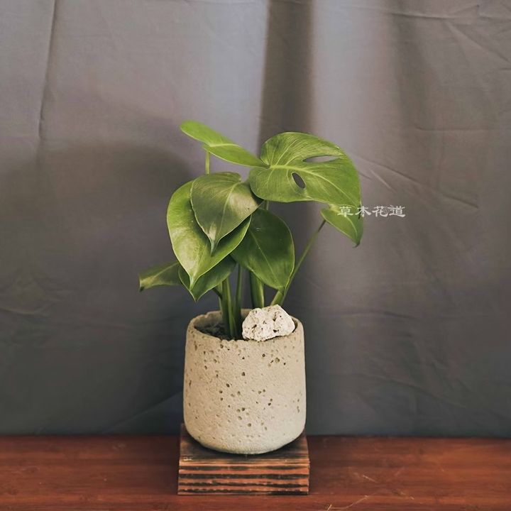 LINE_ALBUM_2024.9.20_241110_27