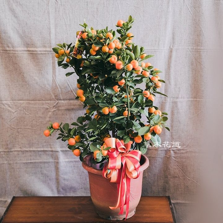 LINE_ALBUM_2025.1.20_250121_7
