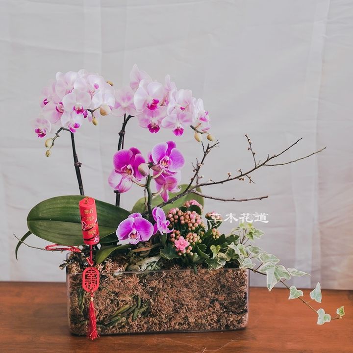 LINE_ALBUM_2025.1.20_250121_27