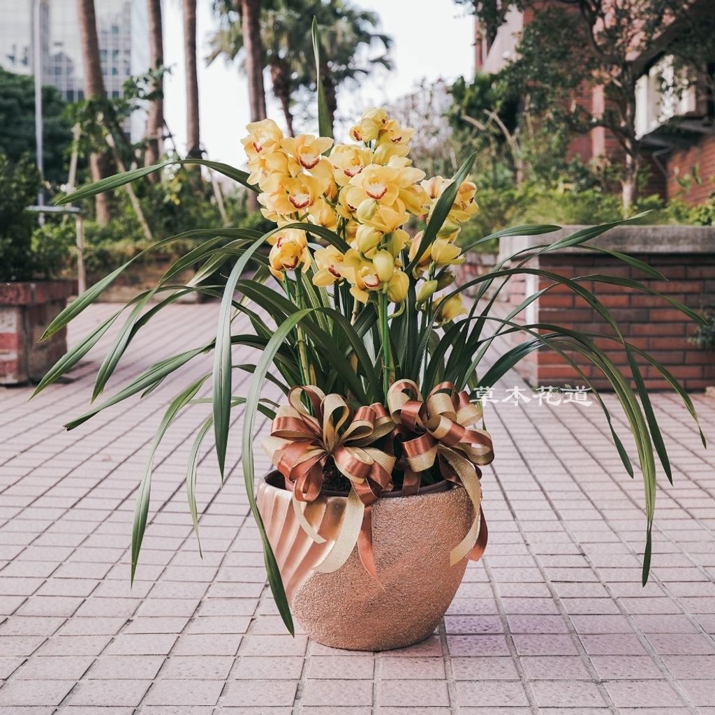 LINE_ALBUM_2025.1.20_250121_48