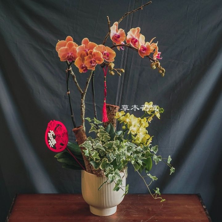 LINE_ALBUM_2025.1.16_250121_46
