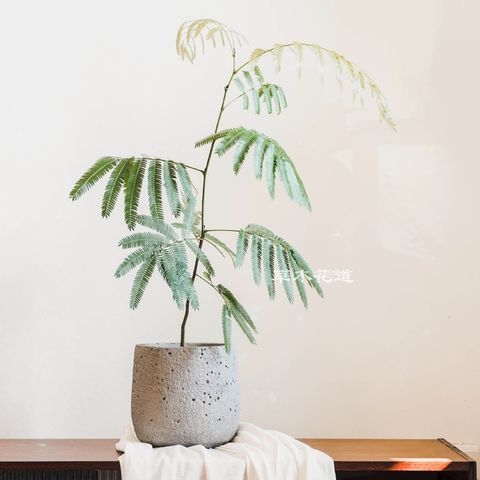 LINE_ALBUM_2025.6.18_250621_1