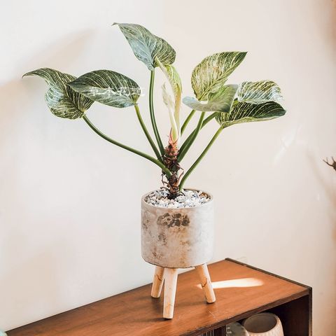 LINE_ALBUM_2025.6.18_250621_6