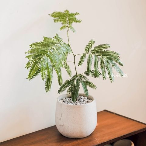 LINE_ALBUM_2025.6.18_250621_9