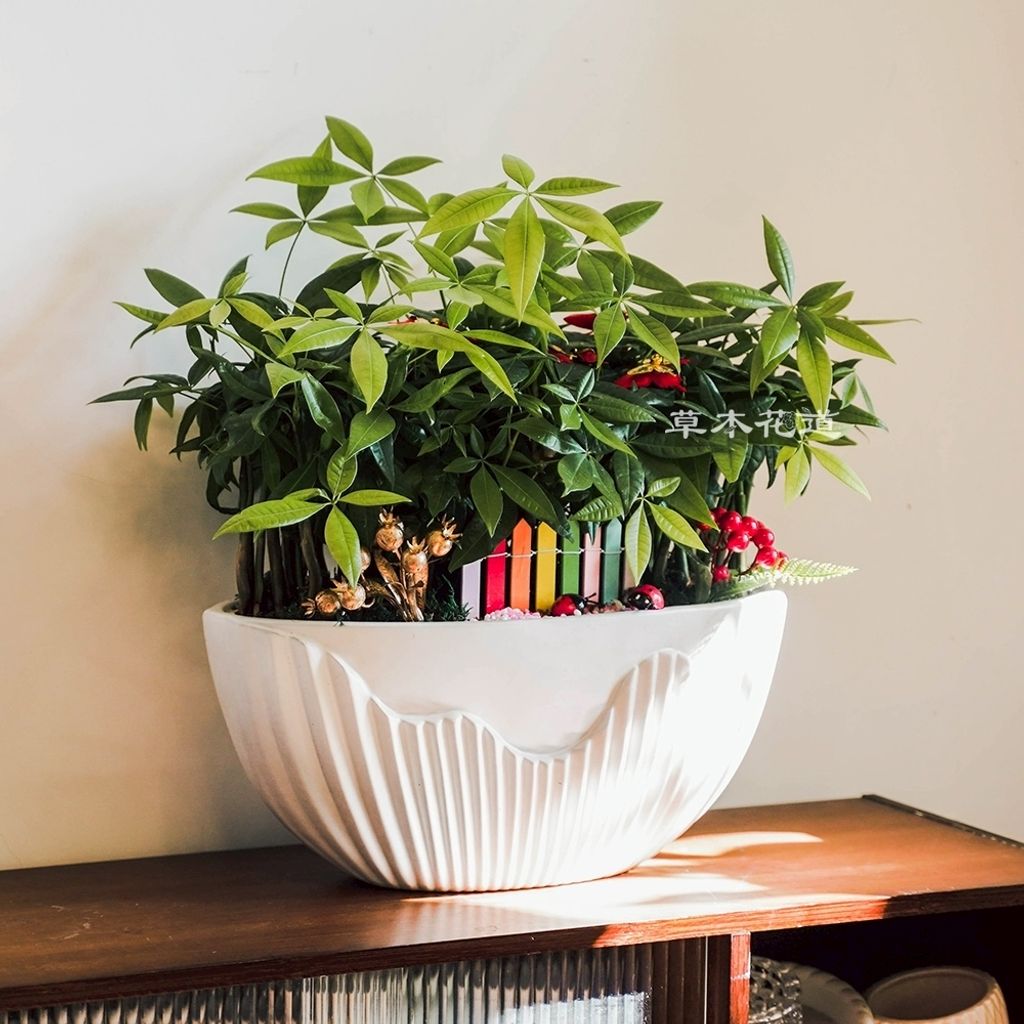 LINE_ALBUM_2025.6.18_250621_20