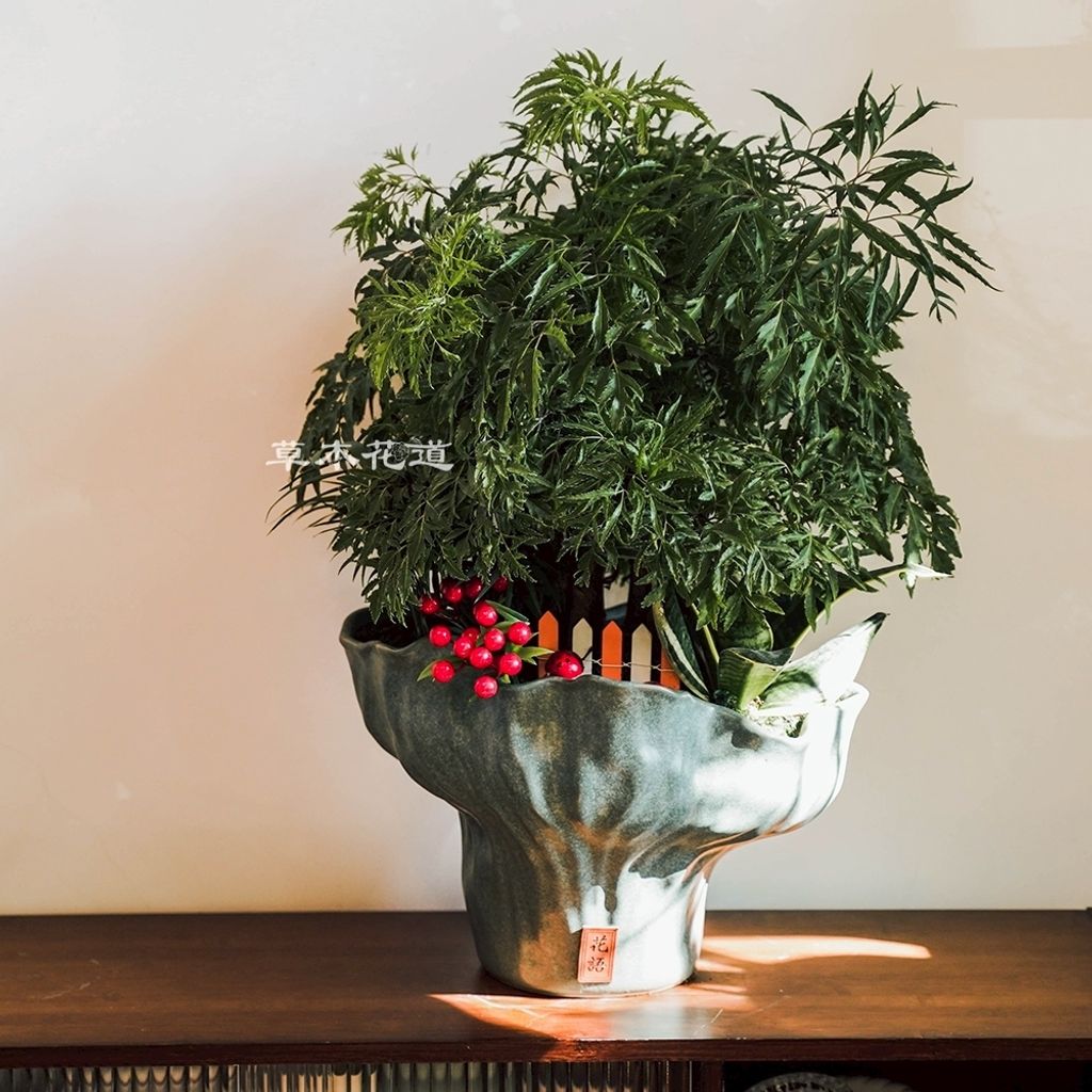 LINE_ALBUM_2025.6.18_250621_22