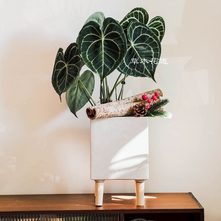 LINE_ALBUM_2025.6.18_250621_25