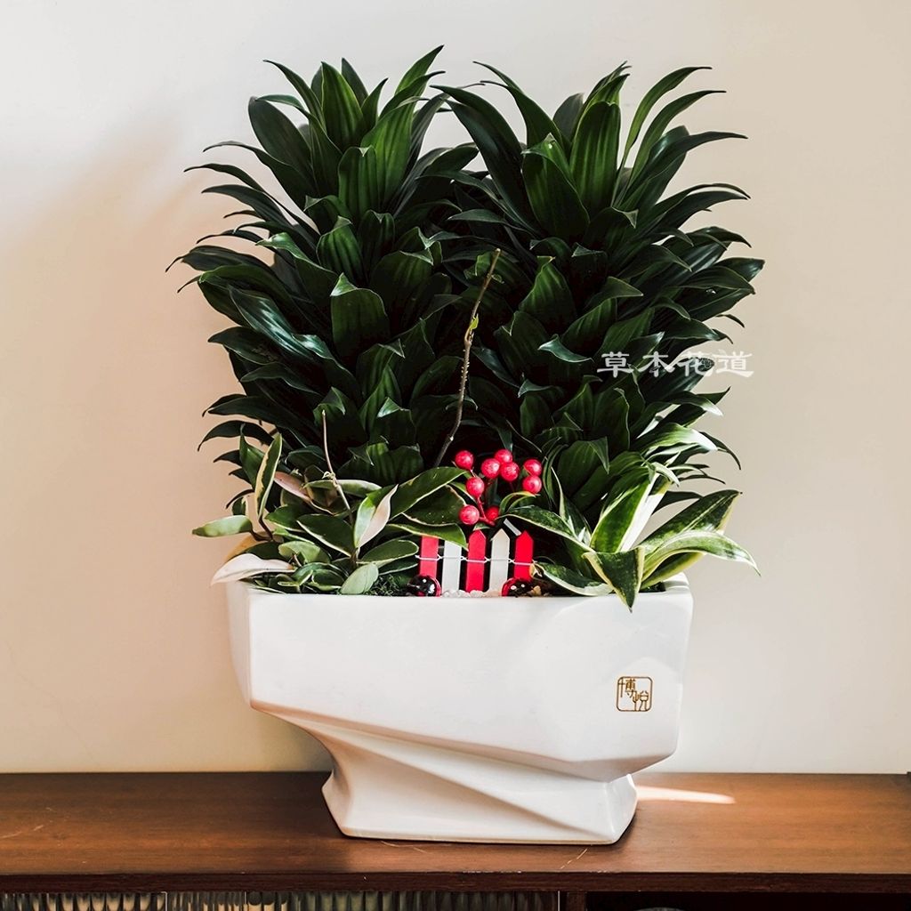 LINE_ALBUM_2025.6.18_250621_28