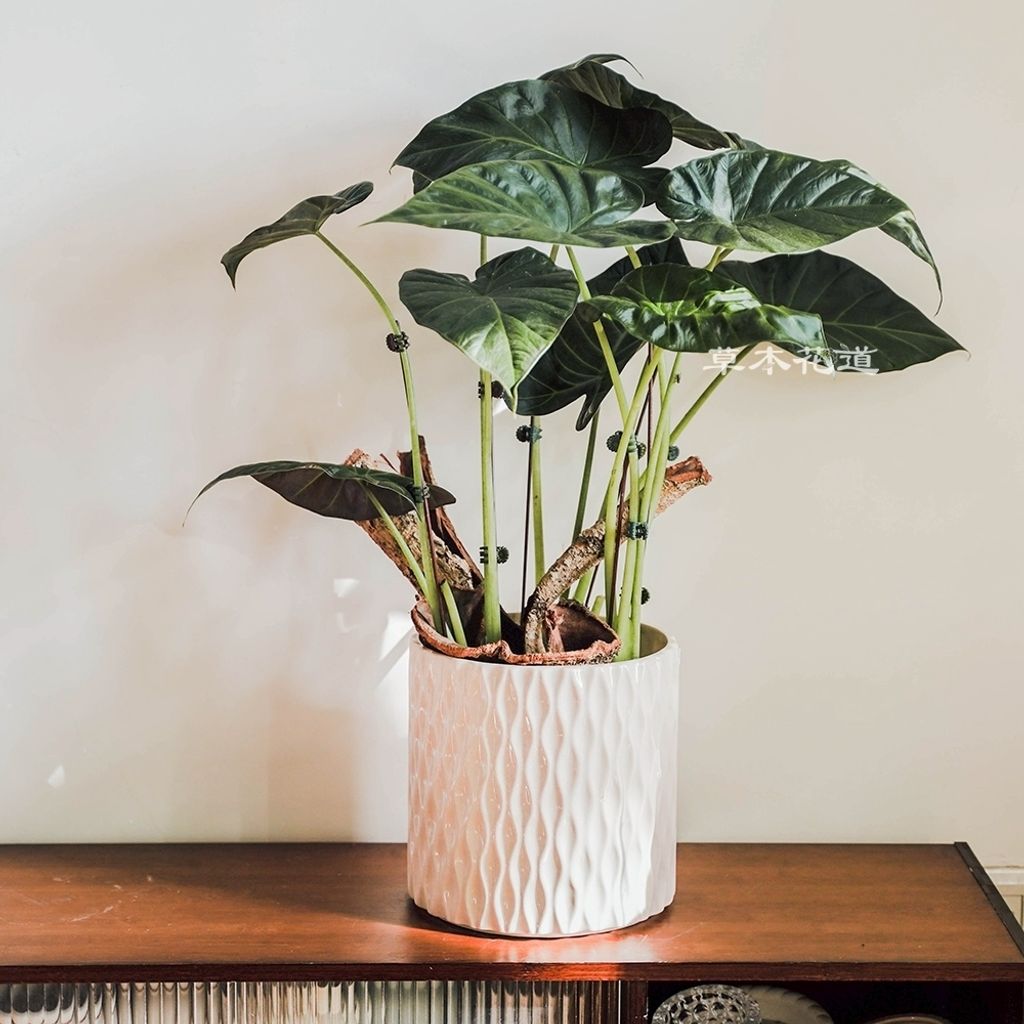 LINE_ALBUM_2025.6.18_250621_53