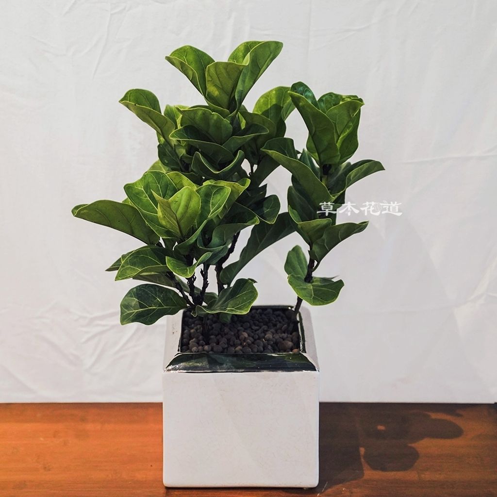 LINE_ALBUM_2025.7.30_250805_41