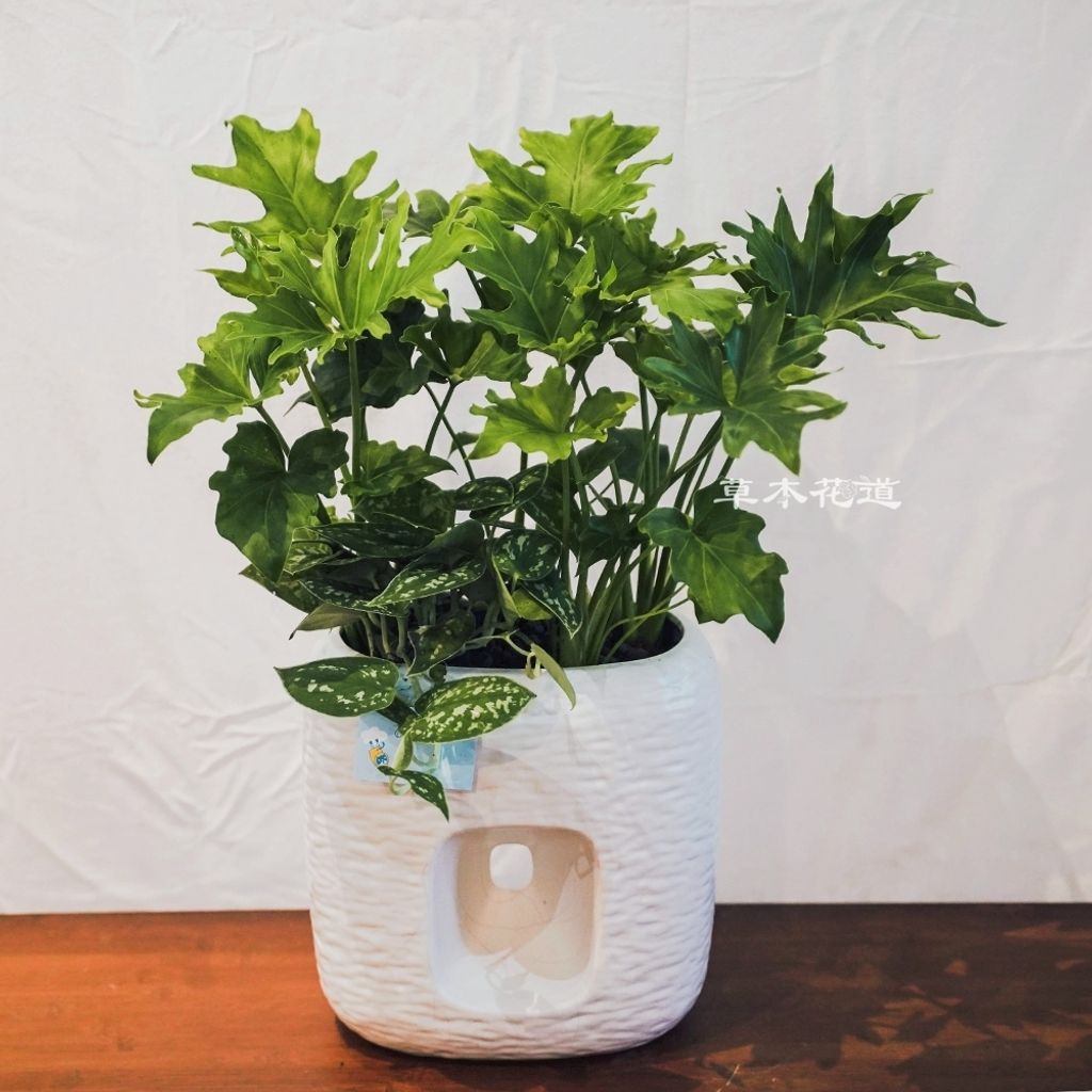 LINE_ALBUM_2025.7.30_250805_44