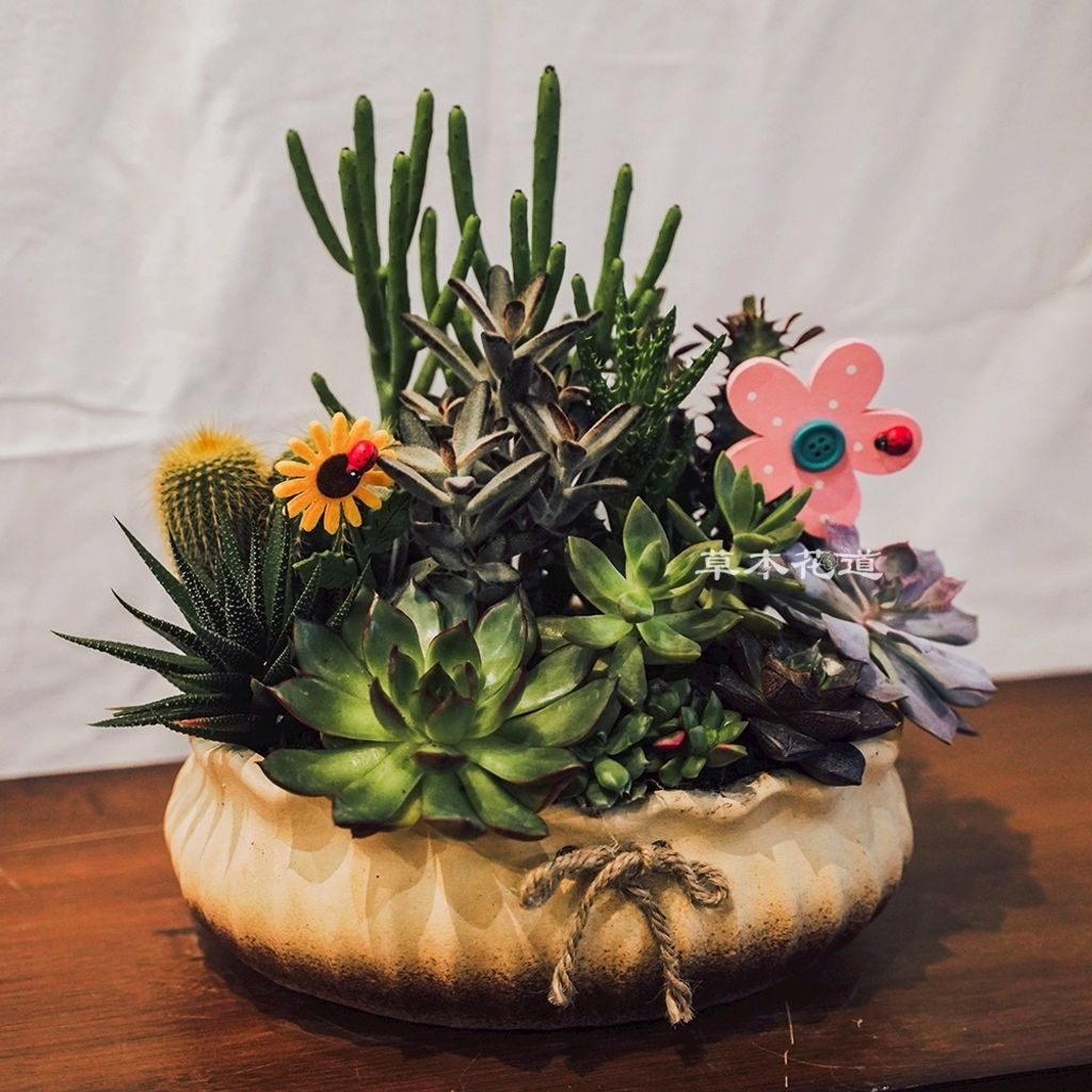 LINE_ALBUM_2025.7.30_250805_51