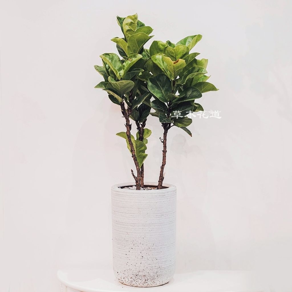 LINE_ALBUM_2025.7.30_250805_54