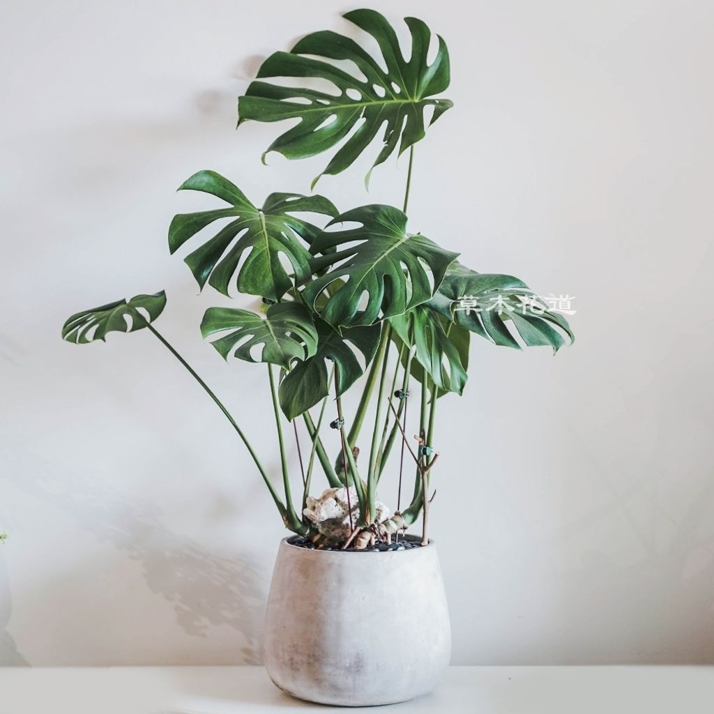 LINE_ALBUM_2025.10.1_251102_5