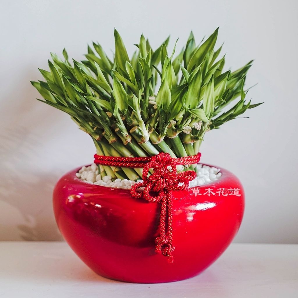 LINE_ALBUM_2025.10.1_251102_29