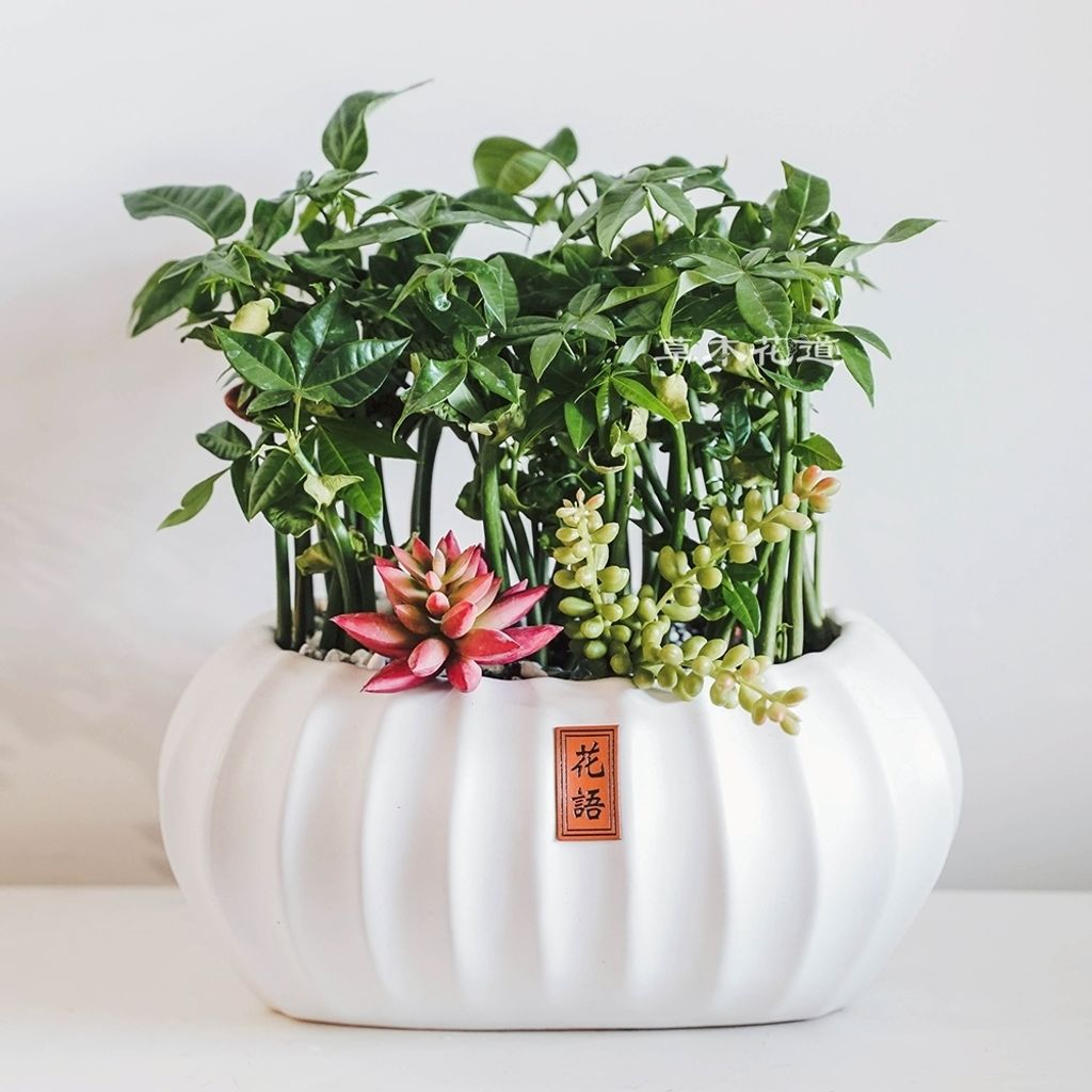 LINE_ALBUM_2025.10.1_251102_32