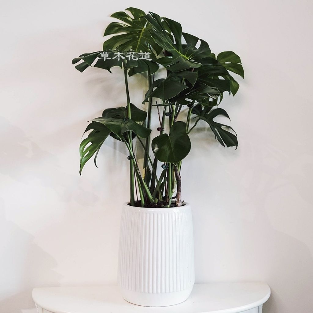 4B3D8A8B-63C6-4D15-89A3-C781F81EFE5B