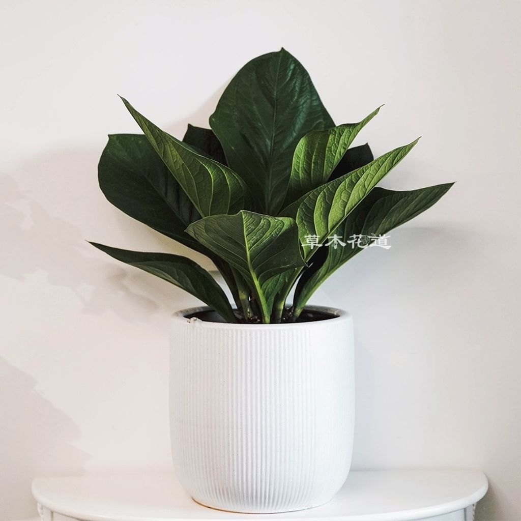 746356F7-4DDC-4C97-B101-A815EFA7C228