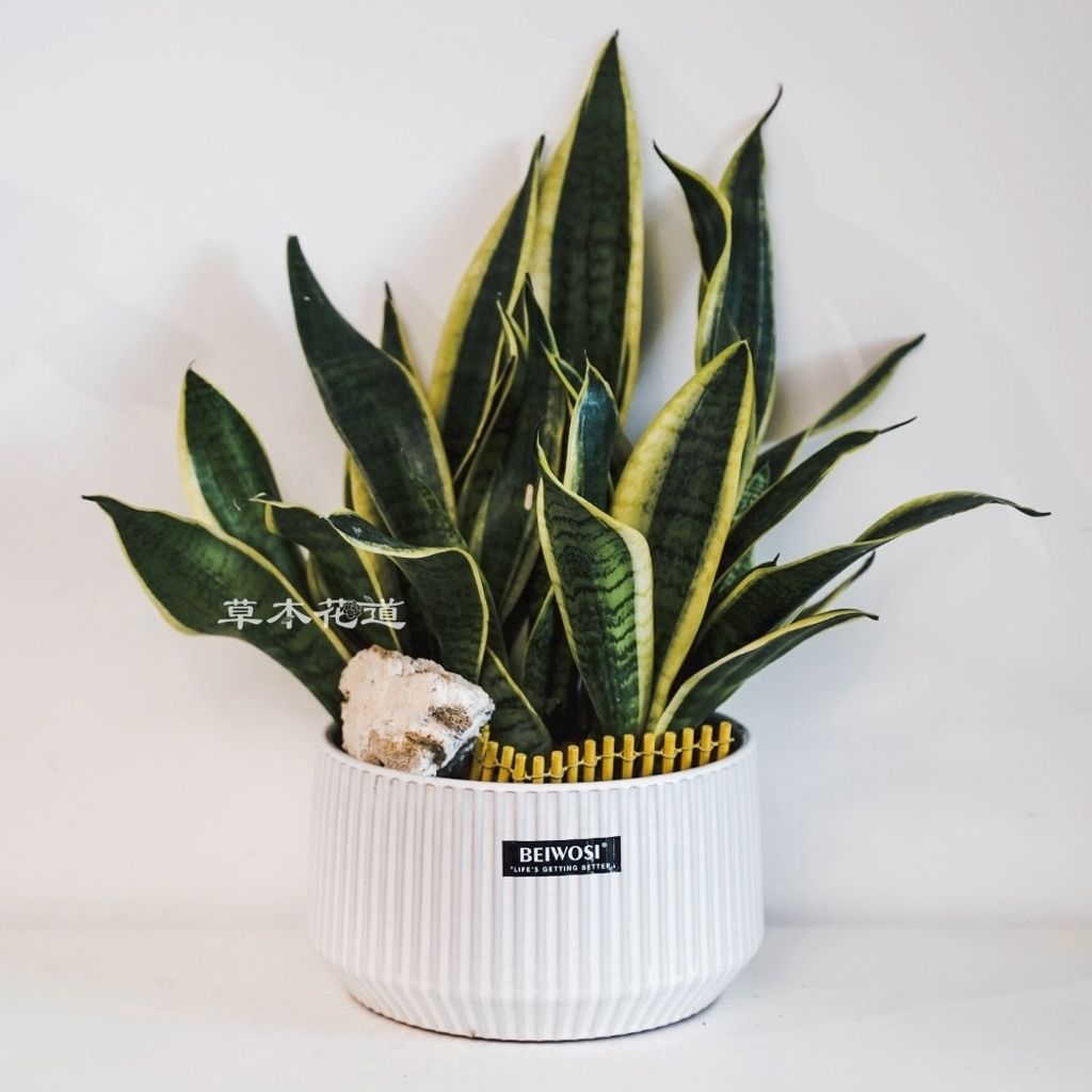 F31C8204-AAA5-4D68-AD10-12E722EEA82C