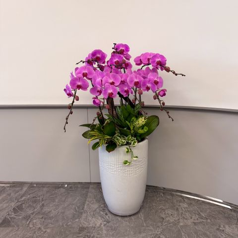 image_AA71B9F7-53B3-4EBB-8F32-672585CA8F03_1769573175