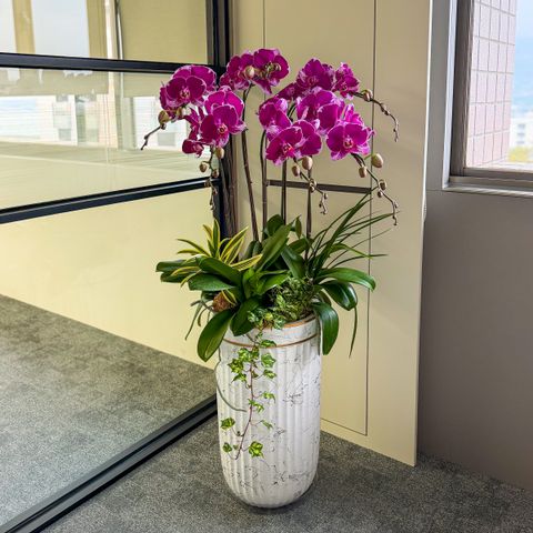 image_B2A4BE11-2989-440B-9854-DF3A087D9D7A_1769573383