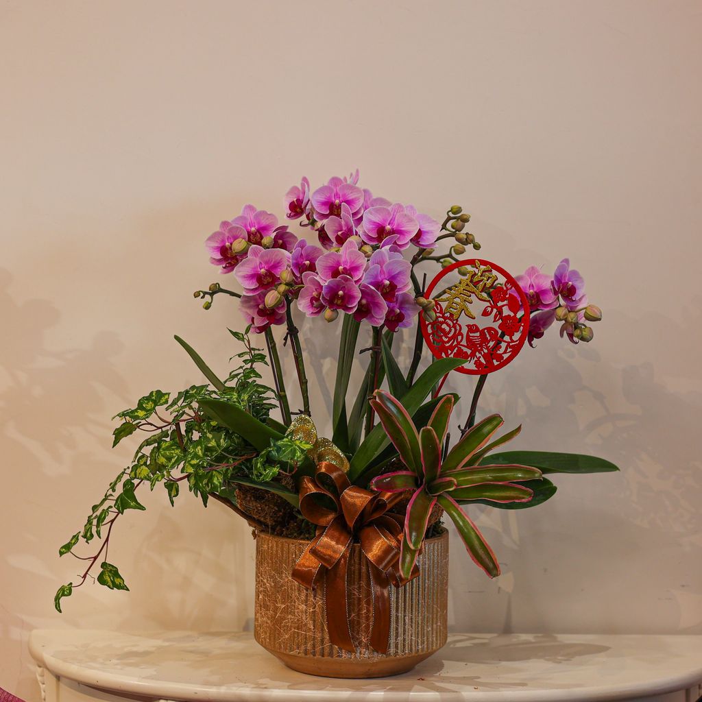 image_CC5CA8FE-A059-430C-A1CE-0811085FFFB7_1769573460