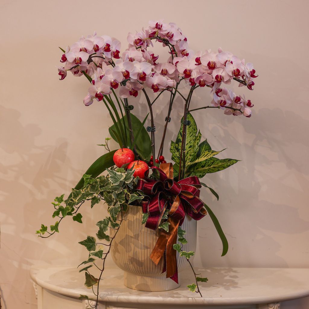 image_77D5B8A5-28D4-47AF-AE39-92F0AC882F99_1769573635