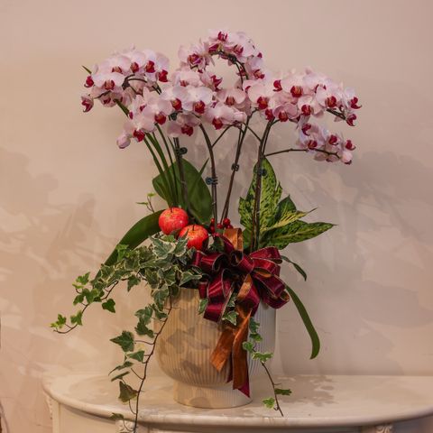 image_77D5B8A5-28D4-47AF-AE39-92F0AC882F99_1769573635