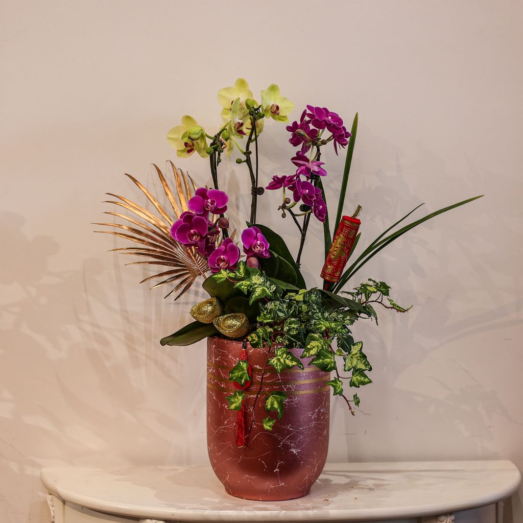 image_B97E286D-4269-4F88-80D4-AECE0DECBCA9_1770041656