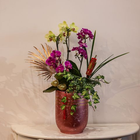 image_B97E286D-4269-4F88-80D4-AECE0DECBCA9_1770041656